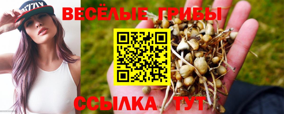 Чехов  Псилоцибиновые грибы мицелий  Вход с VPN 