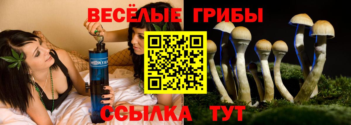 Псилоцибиновые грибы GOLDEN TEACHER Чехов